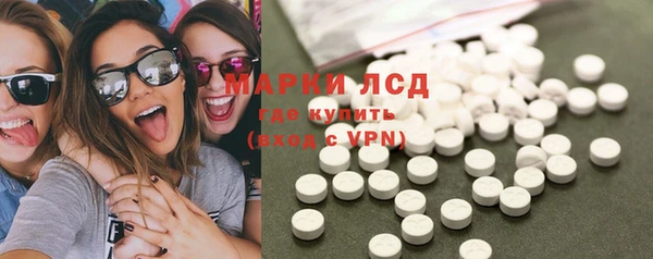 сатива Елизово