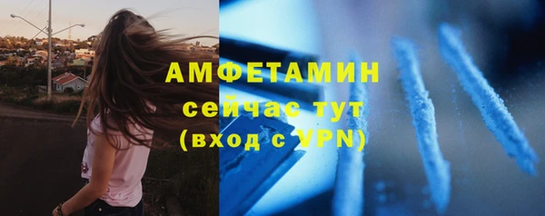 молекула духа Дмитровск