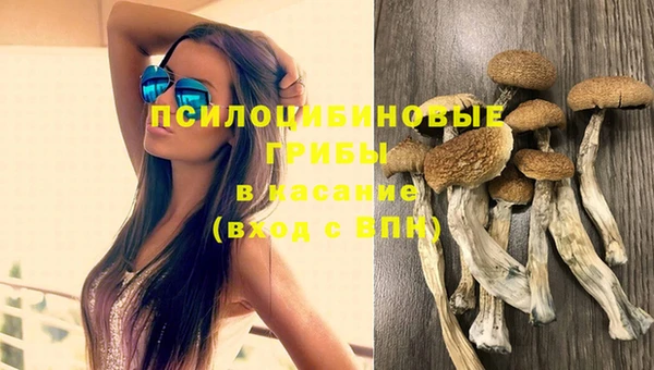 эйфоретик Янаул