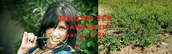 ECSTASY Ельня