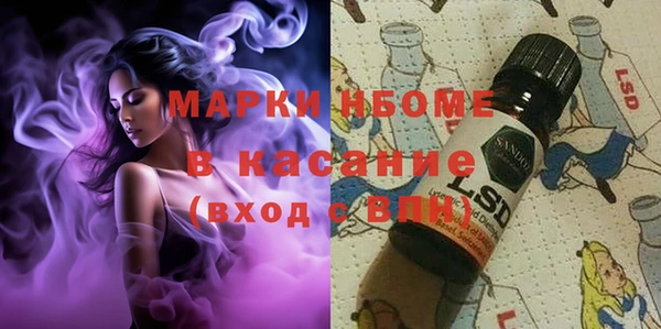сатива Елизово