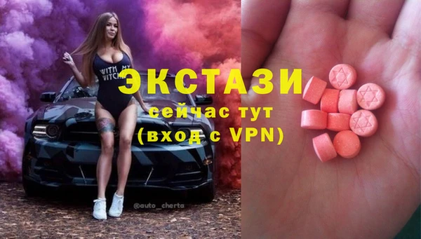 ECSTASY Дмитриев