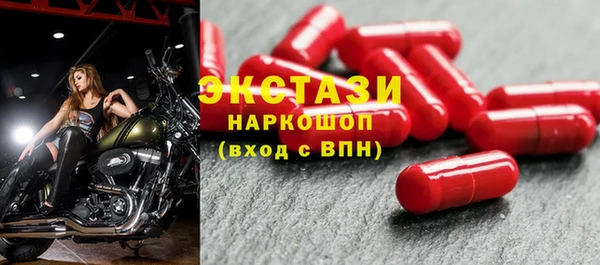 ECSTASY Ельня