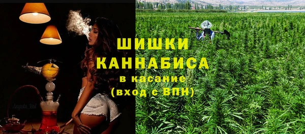 ECSTASY Ельня