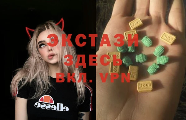 ECSTASY Ельня