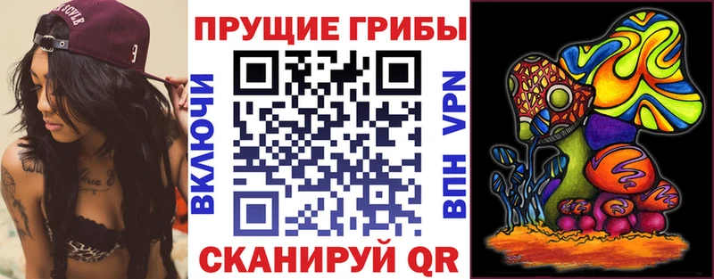 Псилоцибиновые грибы GOLDEN TEACHER  купить  сайты  Копейск 